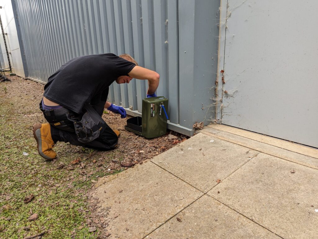 How Pest Control Remove Insects