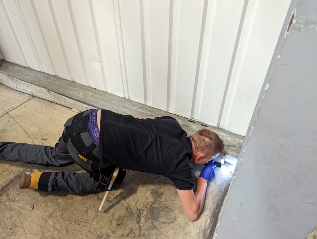 What Do Pest Control Do for Mice?
