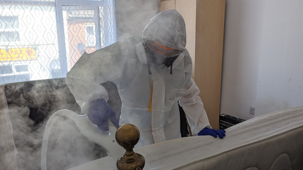 bedbug treatment Northampton